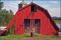 Tulmeadow Farm ~ Grass-Fed Beef