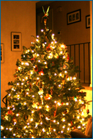 A Tulmeadow Farm Christmas tree