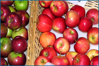 Tulmeadow Seasonal Apples